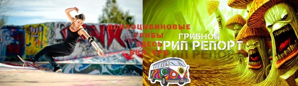 apvp Алексеевка